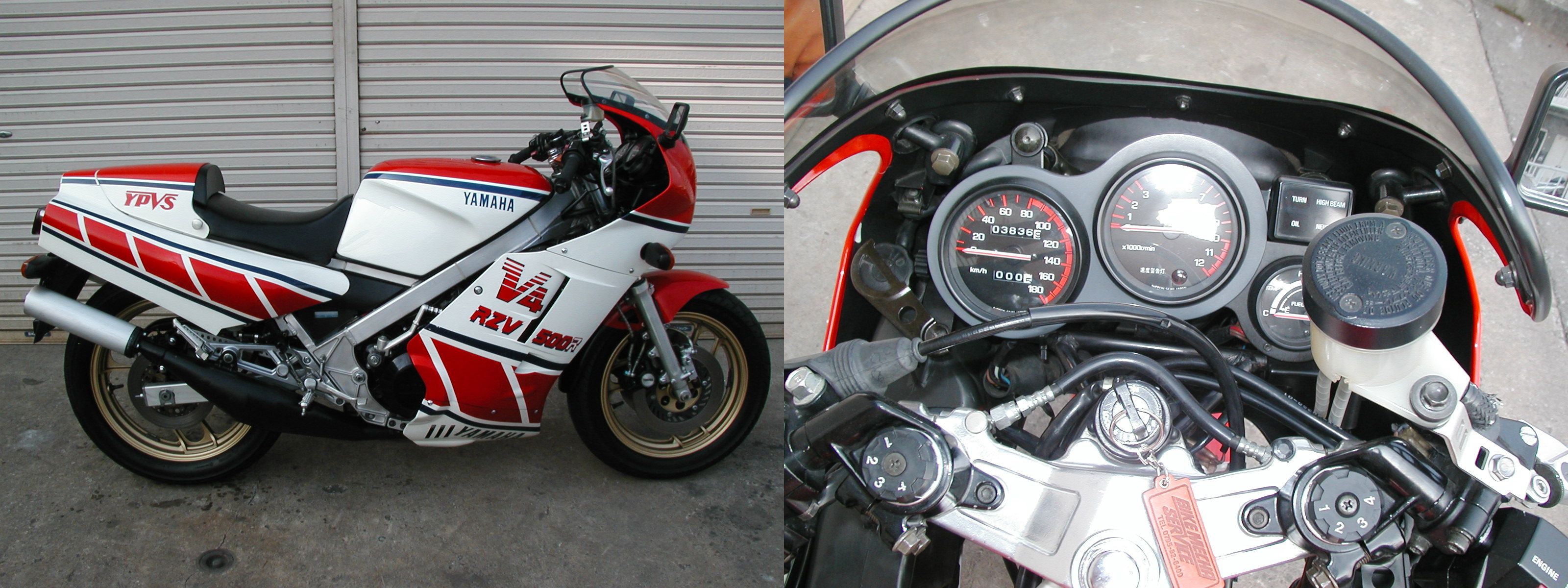 �q�y�u�T�O�O�q