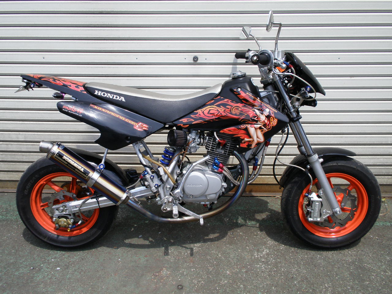 X�q�T�O���@�P�Q�T����